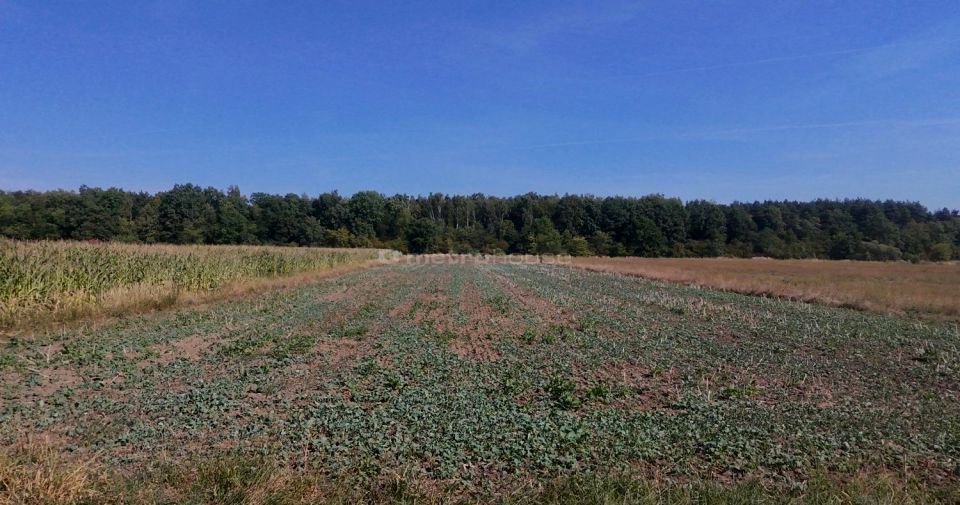 Działka Pławniowice