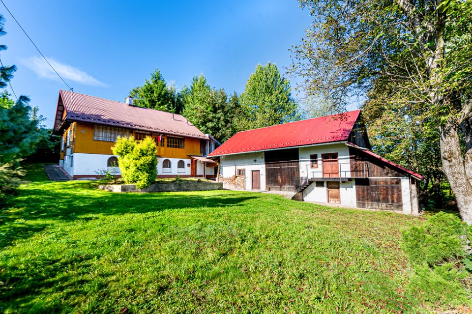 Dom Dynów