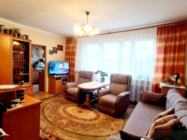 Mieszkanie Szczecin
