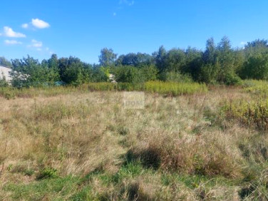 Działka budowlana Dybów-Kolonia