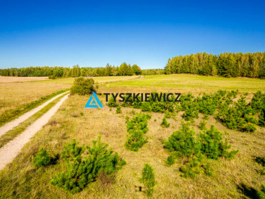 Działka rolna Skorzewo
