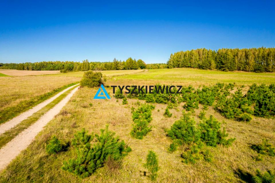 Działka rolna Skorzewo
