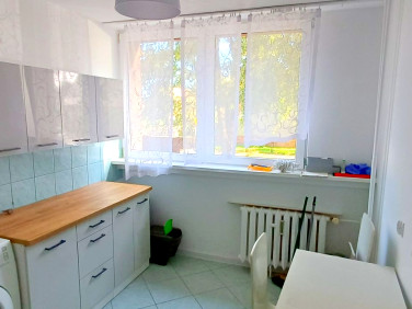 Mieszkanie Chojnów