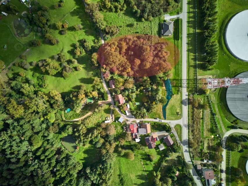 Działka przy lesie