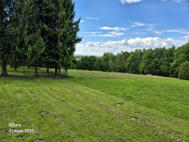 Działka siedliskowa Staniątki