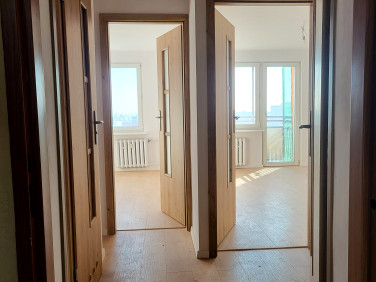 Mieszkanie Poznań sprzedaż