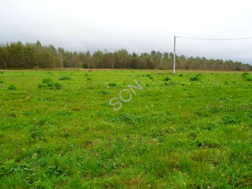 Działka usługowa Duchnów