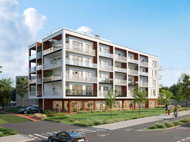 Lokal Kielce