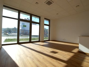 Lokal Kielce