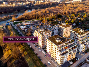 Lokal Kraków