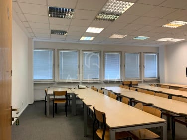 Lokal Szczecin
