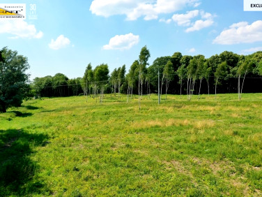 Działka Ninikowo