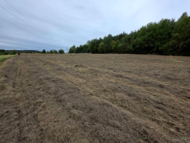 Działka budowlana Kielce
