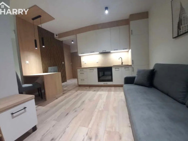 Mieszkanie apartamentowiec wynajem