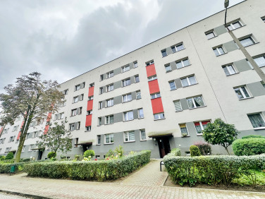 Mieszkanie Dąbrowa Górnicza