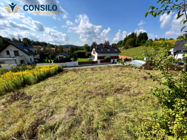 Działka siedliskowa Januszowice