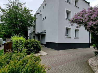 Lokal Poznań wynajem