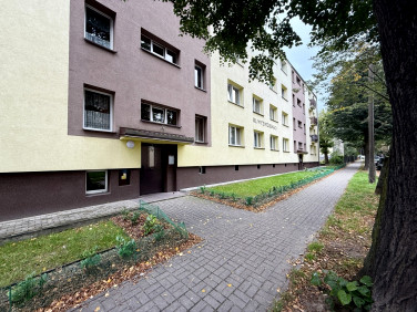 Mieszkanie Ciechanów