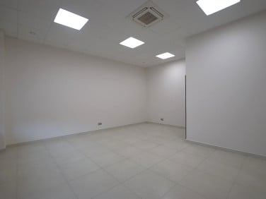 Lokal Kielce