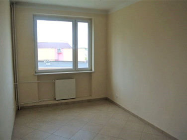 Lokal Kielce