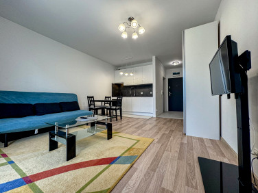 Mieszkanie Szczecin wynajem