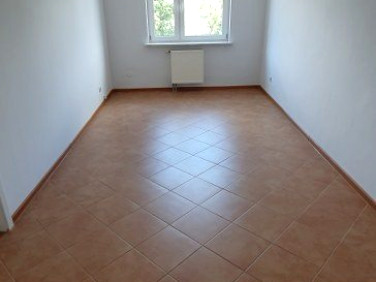 Lokal Kielce