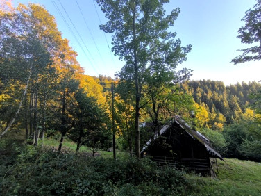 Dom Milówka
