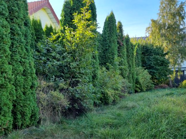 Działka budowlana Ożarów Mazowiecki