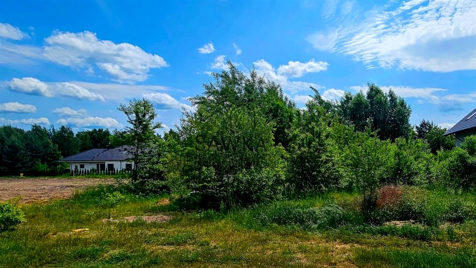 Działka Zielona Góra