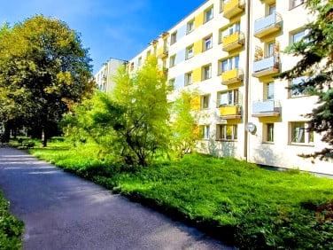 Mieszkanie Kielce