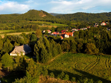 Dom Goworów
