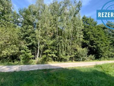 Działka budowlana Radonie