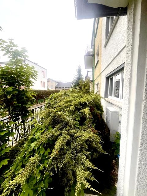 Zdjęcie 3