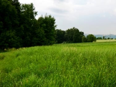 Działka Męcina