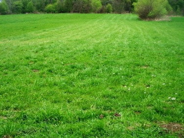 Działka rekreacyjna Sobolów