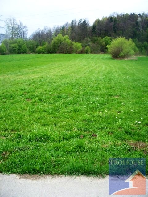 Działka rekreacyjna Sobolów