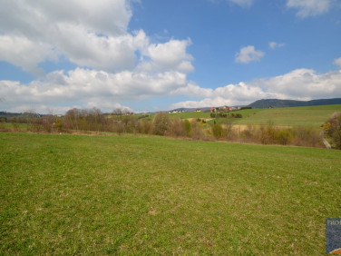 Działka Pisarzowa