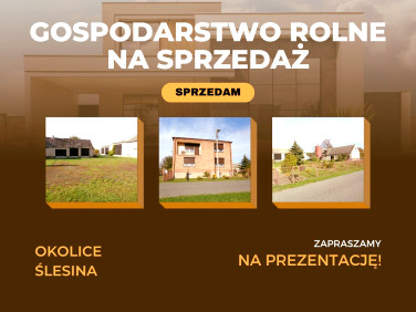 Dom Ślesin