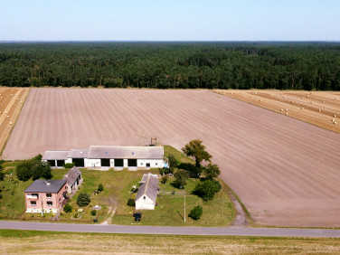 Dom Ślesin sprzedaż