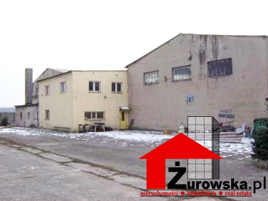 Budynek użytkowy Zdzieszowice