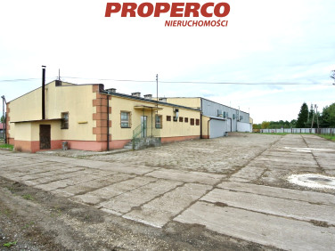 Lokal Busko-Zdrój
