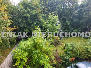 Mieszkanie w górach