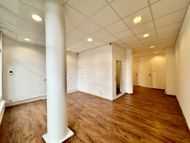 Lokal Legnica