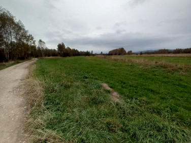 Działka rolna Czarny Dunajec