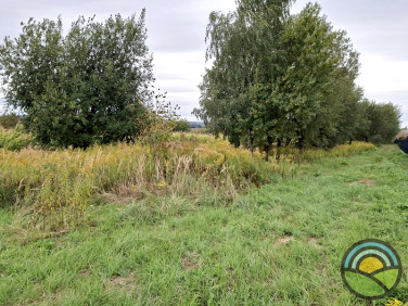 Działka budowlana Kobylany sprzedam