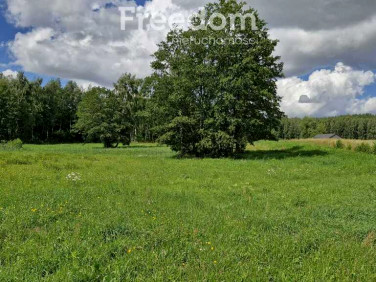 Działka nad jeziorem