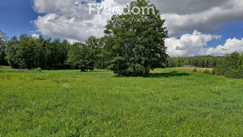 Działka nad jeziorem