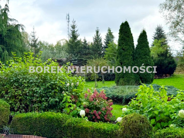 Dom wolnostojący sprzedaż