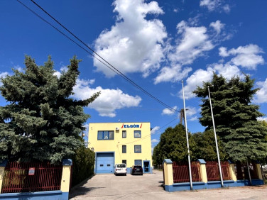 Lokal Jędrzejów