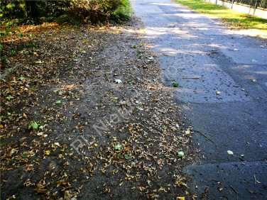 Działka budowlana Podkowa Leśna sprzedam